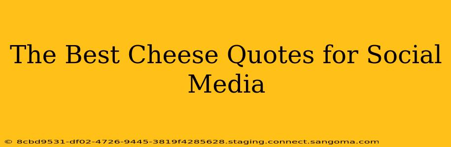 The Best Cheese Quotes for Social Media