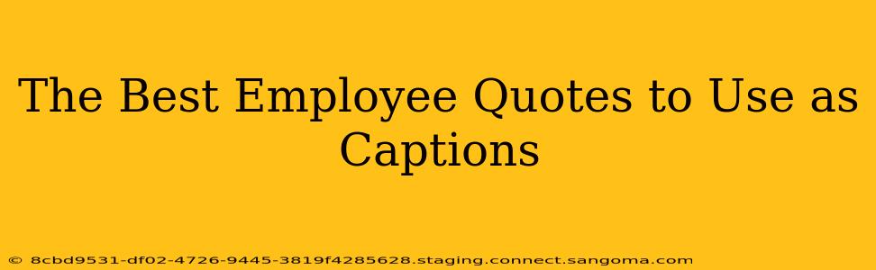 The Best Employee Quotes to Use as Captions