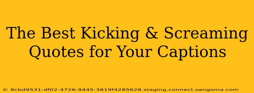 The Best Kicking & Screaming Quotes for Your Captions