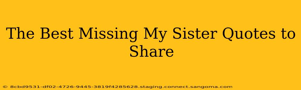 The Best Missing My Sister Quotes to Share