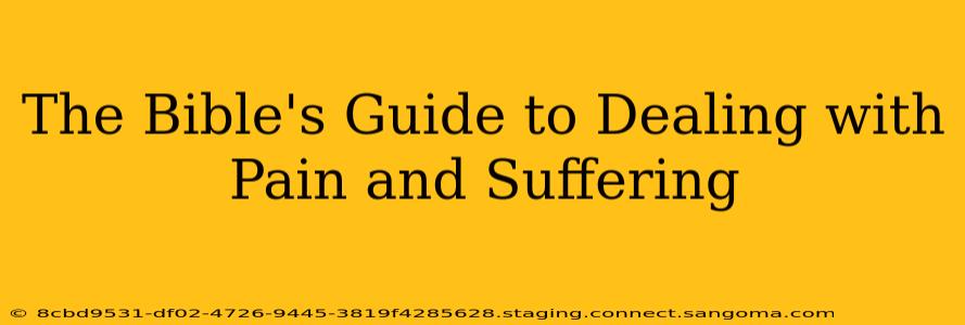 The Bible's Guide to Dealing with Pain and Suffering