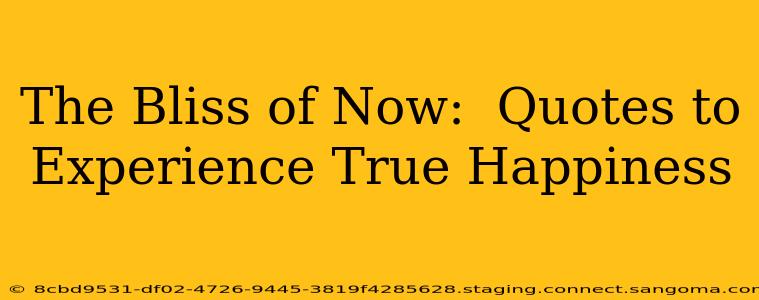 The Bliss of Now:  Quotes to Experience True Happiness