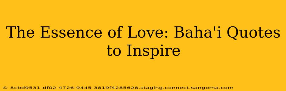 The Essence of Love: Baha'i Quotes to Inspire