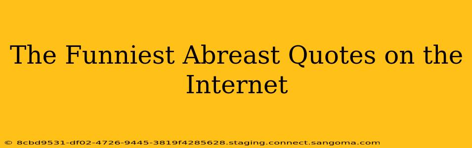 The Funniest Abreast Quotes on the Internet