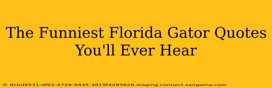 The Funniest Florida Gator Quotes You'll Ever Hear