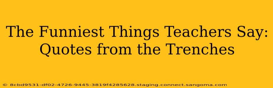 The Funniest Things Teachers Say: Quotes from the Trenches