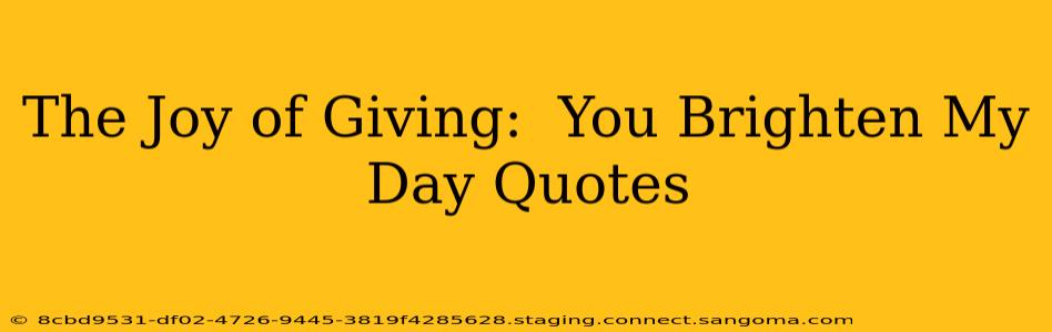 The Joy of Giving:  You Brighten My Day Quotes