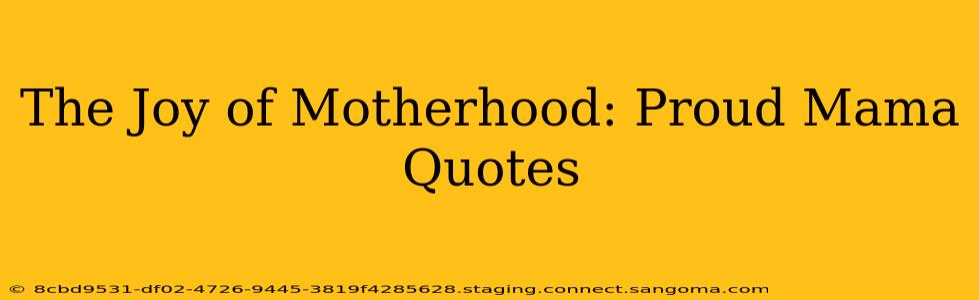 The Joy of Motherhood: Proud Mama Quotes