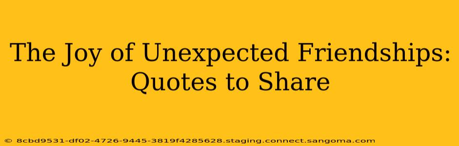 The Joy of Unexpected Friendships: Quotes to Share