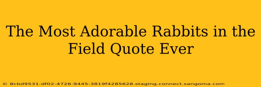 The Most Adorable Rabbits in the Field Quote Ever