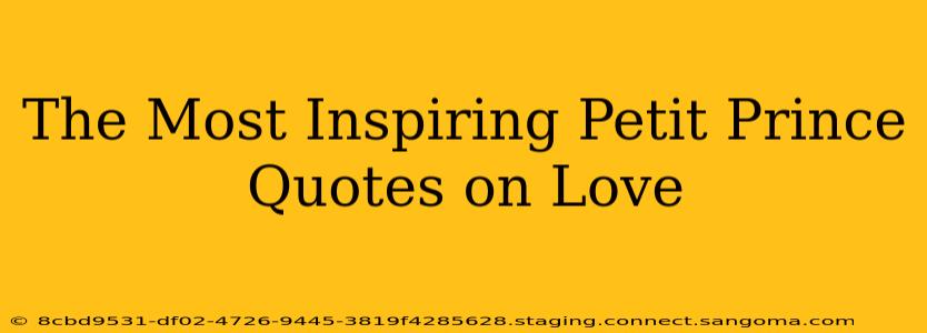 The Most Inspiring Petit Prince Quotes on Love