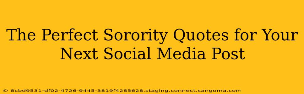 The Perfect Sorority Quotes for Your Next Social Media Post