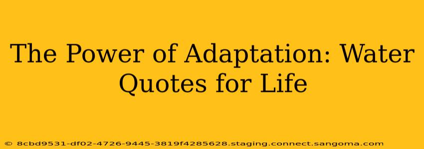 The Power of Adaptation: Water Quotes for Life