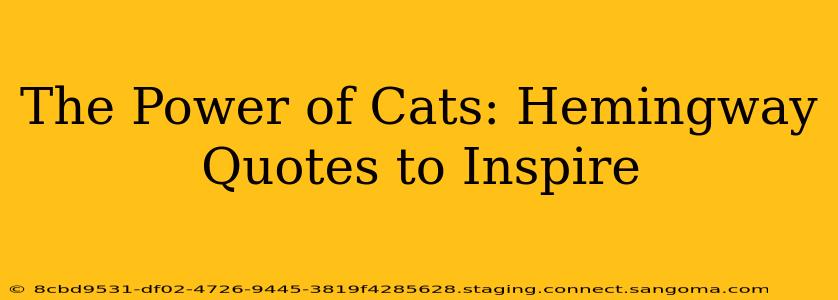The Power of Cats: Hemingway Quotes to Inspire