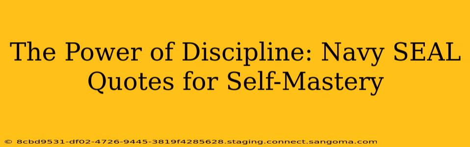 The Power of Discipline: Navy SEAL Quotes for Self-Mastery