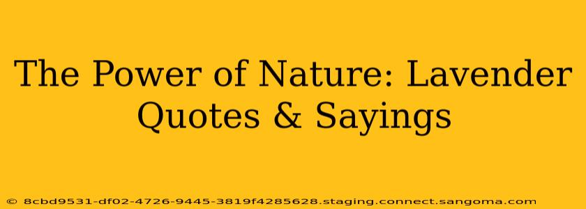 The Power of Nature: Lavender Quotes & Sayings
