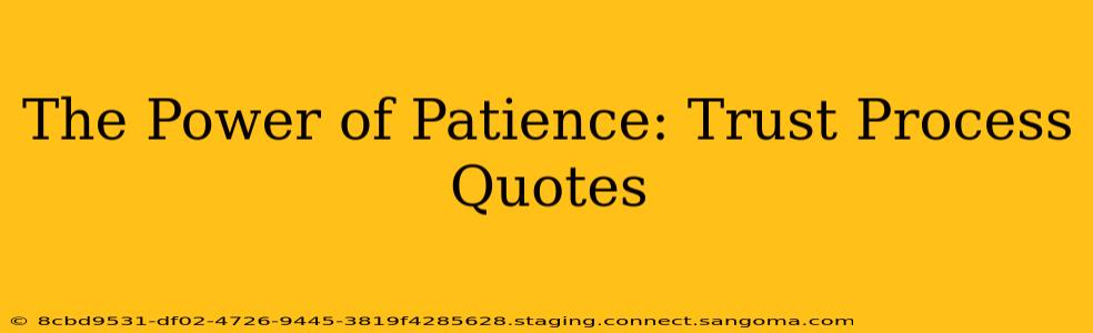 The Power of Patience: Trust Process Quotes