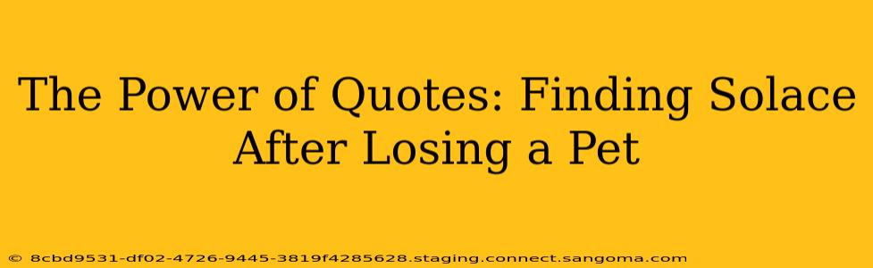 The Power of Quotes: Finding Solace After Losing a Pet