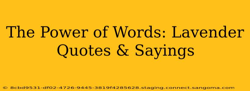 The Power of Words: Lavender Quotes & Sayings