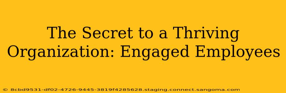 The Secret to a Thriving Organization: Engaged Employees