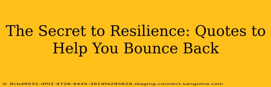 The Secret to Resilience: Quotes to Help You Bounce Back
