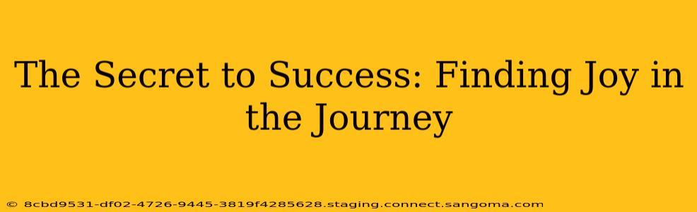 The Secret to Success: Finding Joy in the Journey