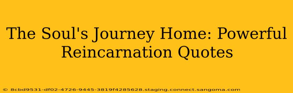 The Soul's Journey Home: Powerful Reincarnation Quotes