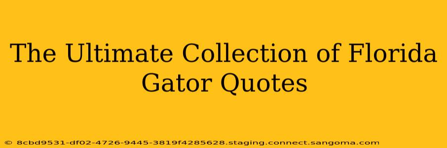The Ultimate Collection of Florida Gator Quotes