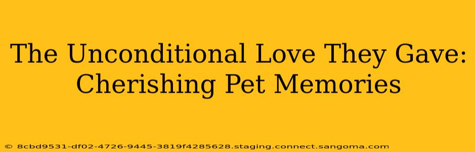 The Unconditional Love They Gave:  Cherishing Pet Memories