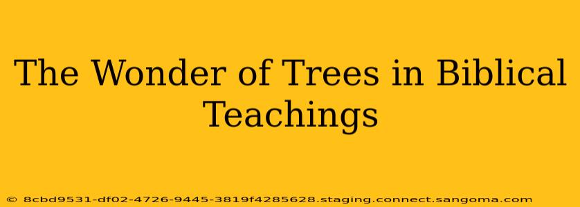 The Wonder of Trees in Biblical Teachings