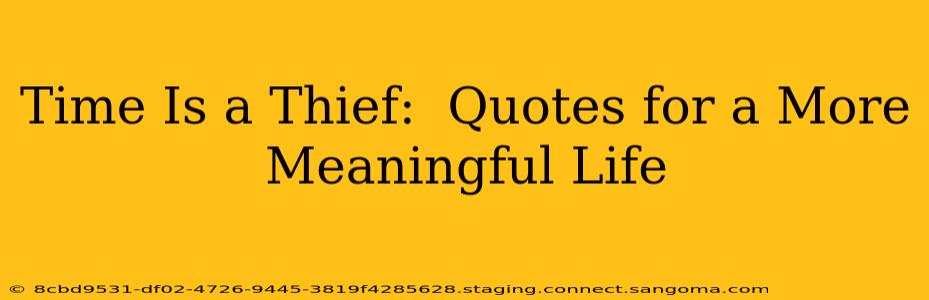 Time Is a Thief:  Quotes for a More Meaningful Life