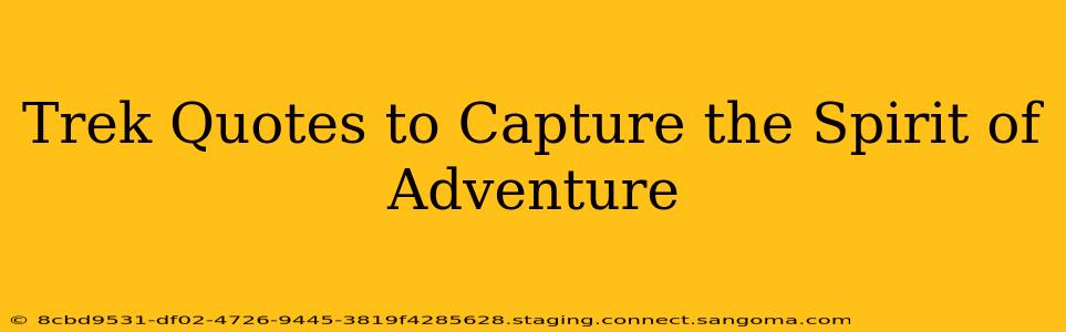 Trek Quotes to Capture the Spirit of Adventure