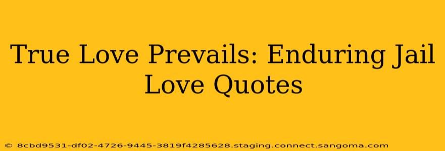 True Love Prevails: Enduring Jail Love Quotes