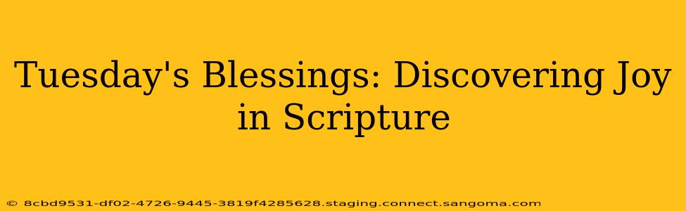 Tuesday's Blessings: Discovering Joy in Scripture