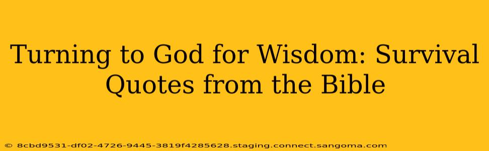 Turning to God for Wisdom: Survival Quotes from the Bible