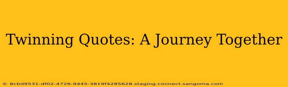 Twinning Quotes: A Journey Together