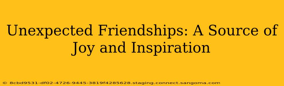 Unexpected Friendships: A Source of Joy and Inspiration