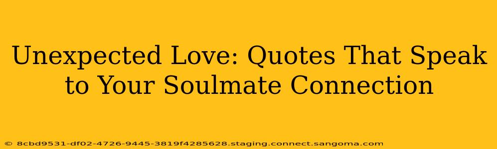 Unexpected Love: Quotes That Speak to Your Soulmate Connection