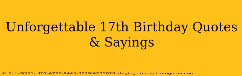 Unforgettable 17th Birthday Quotes & Sayings