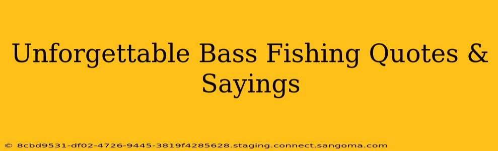 Unforgettable Bass Fishing Quotes & Sayings