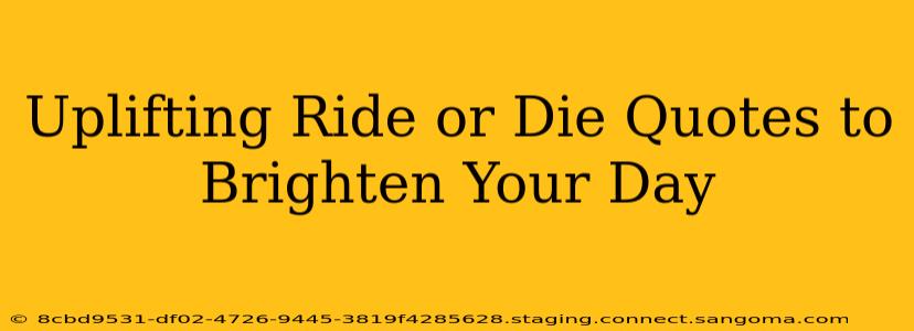 Uplifting Ride or Die Quotes to Brighten Your Day
