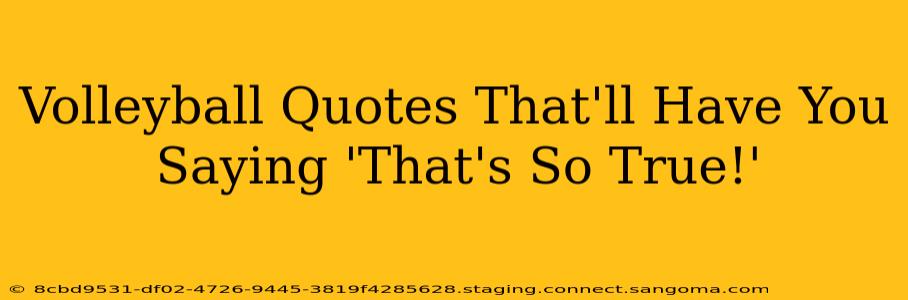 Volleyball Quotes That'll Have You Saying 'That's So True!'