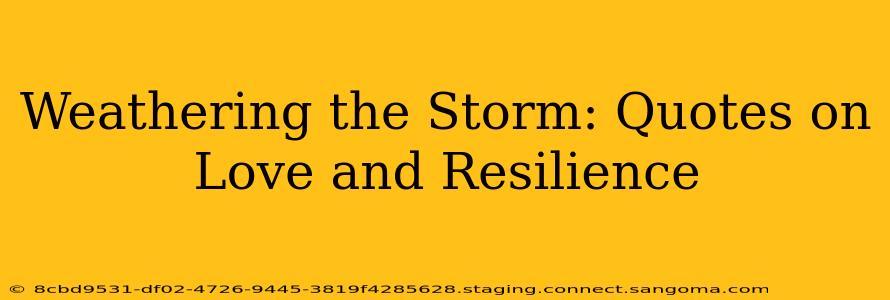 Weathering the Storm: Quotes on Love and Resilience