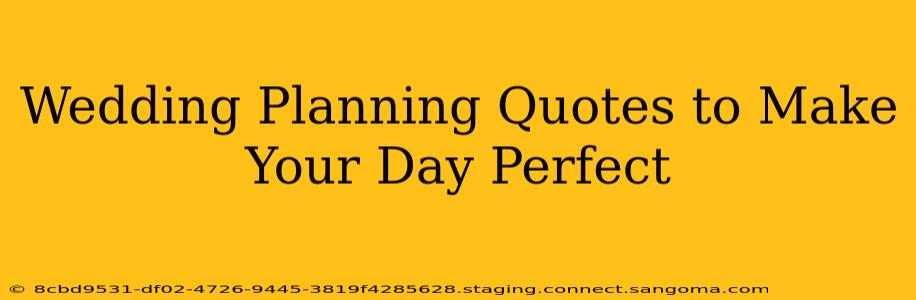 Wedding Planning Quotes to Make Your Day Perfect