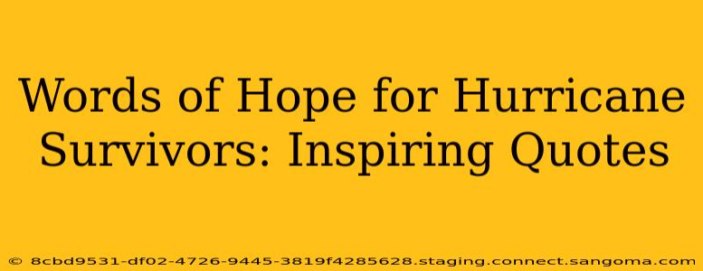 Words of Hope for Hurricane Survivors: Inspiring Quotes