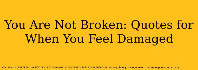 You Are Not Broken: Quotes for When You Feel Damaged