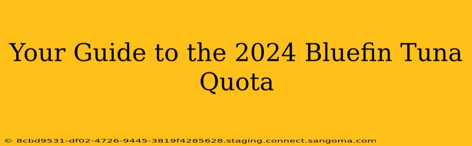 Your Guide to the 2024 Bluefin Tuna Quota
